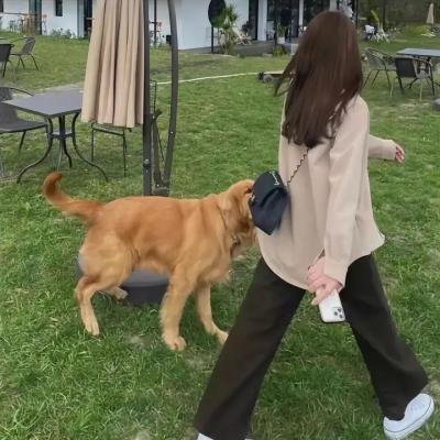 陆战特工